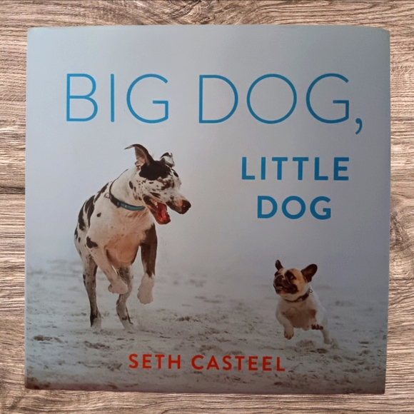 Other - Big Dog, Little Dog Book
